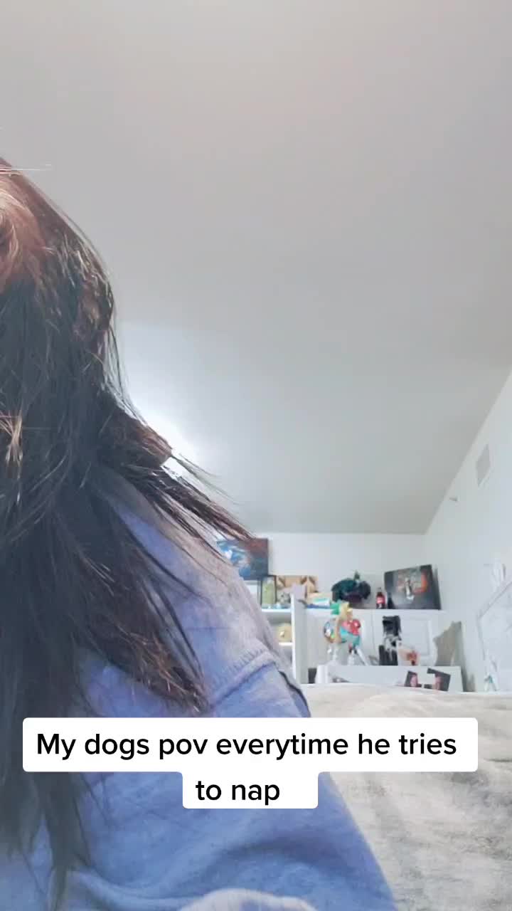 @lvgspeedy