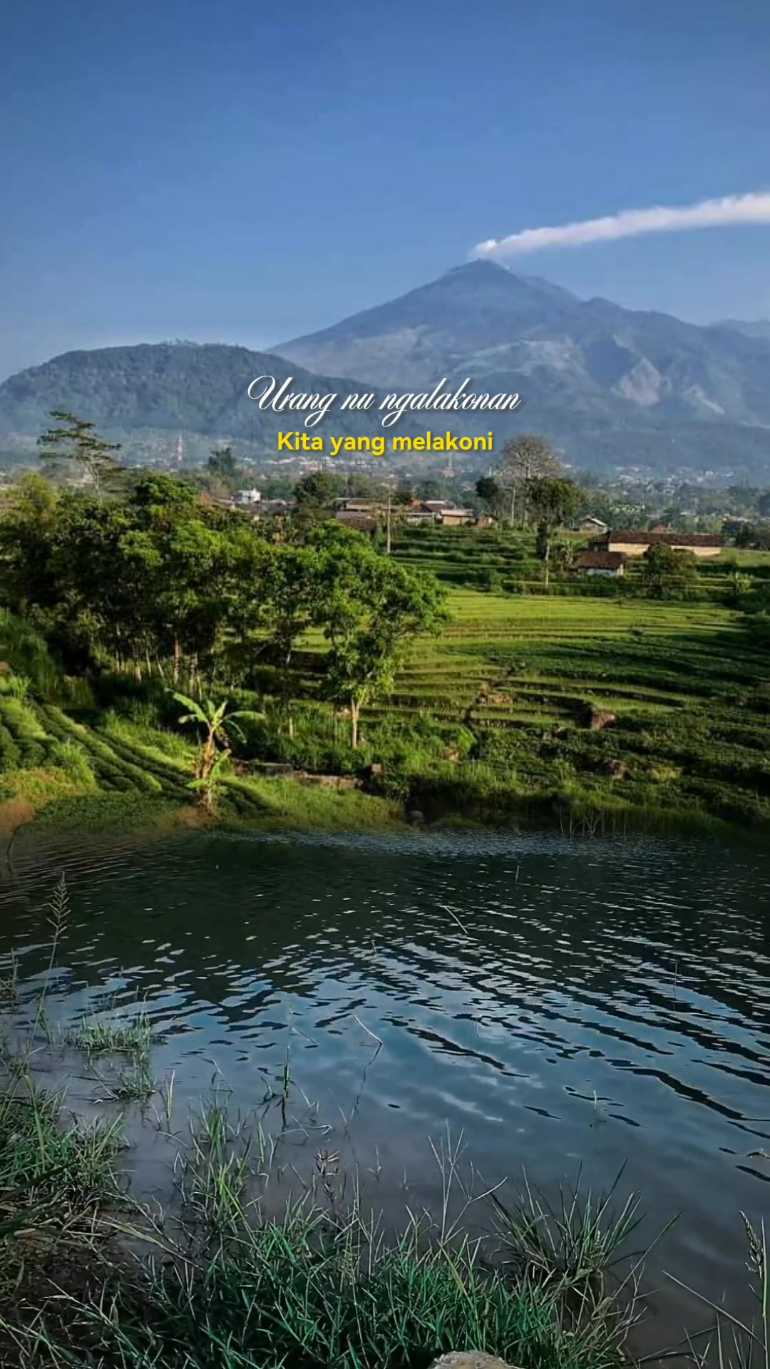 @Ngopi Story