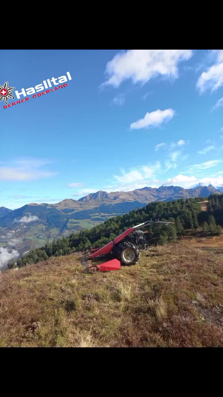 @timo moor
