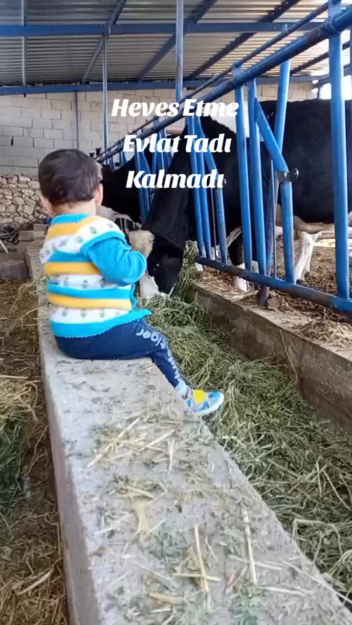 @Hasan Gök