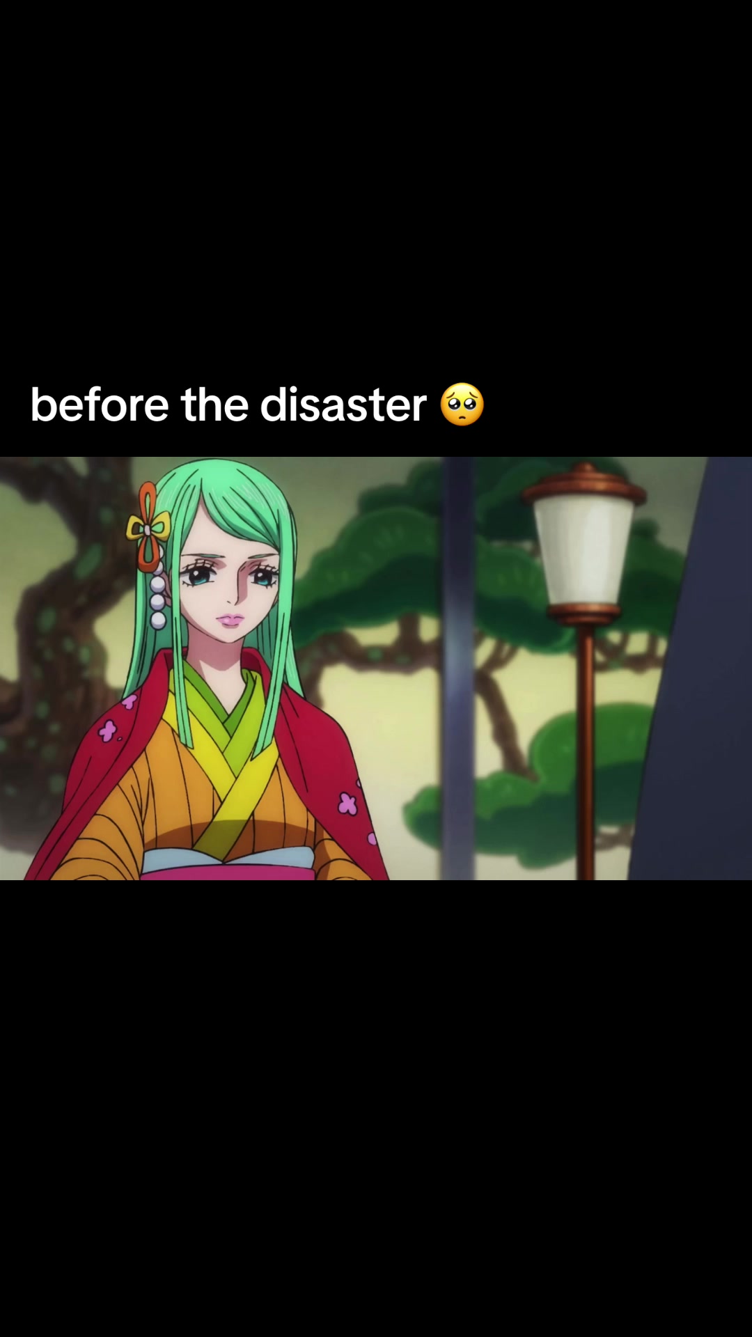 @animo