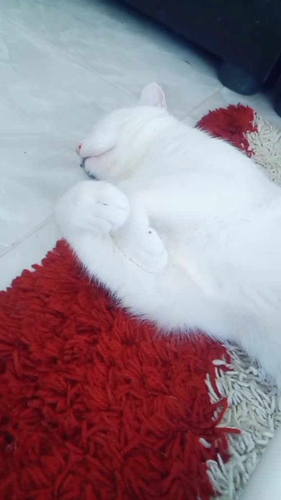 @H&uuml;sna &Ccedil;ağlar