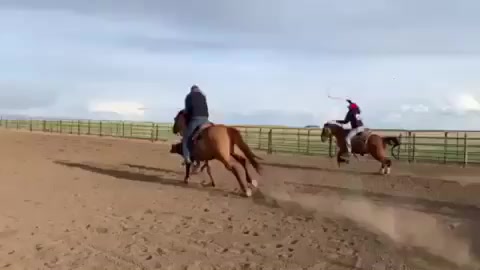 @RodeoWrecksFanPage