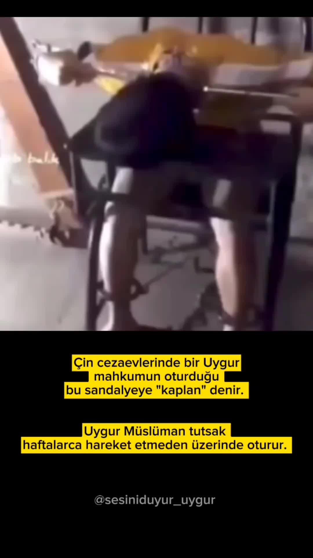 @uyghursvoice