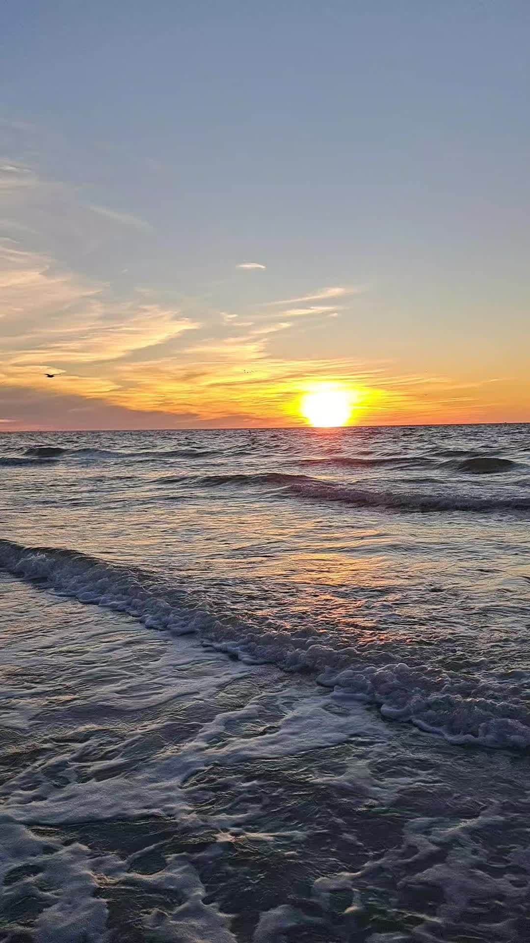 @💚ℕ𝕖𝕨𝕗𝕚𝕖💚🇨🇦