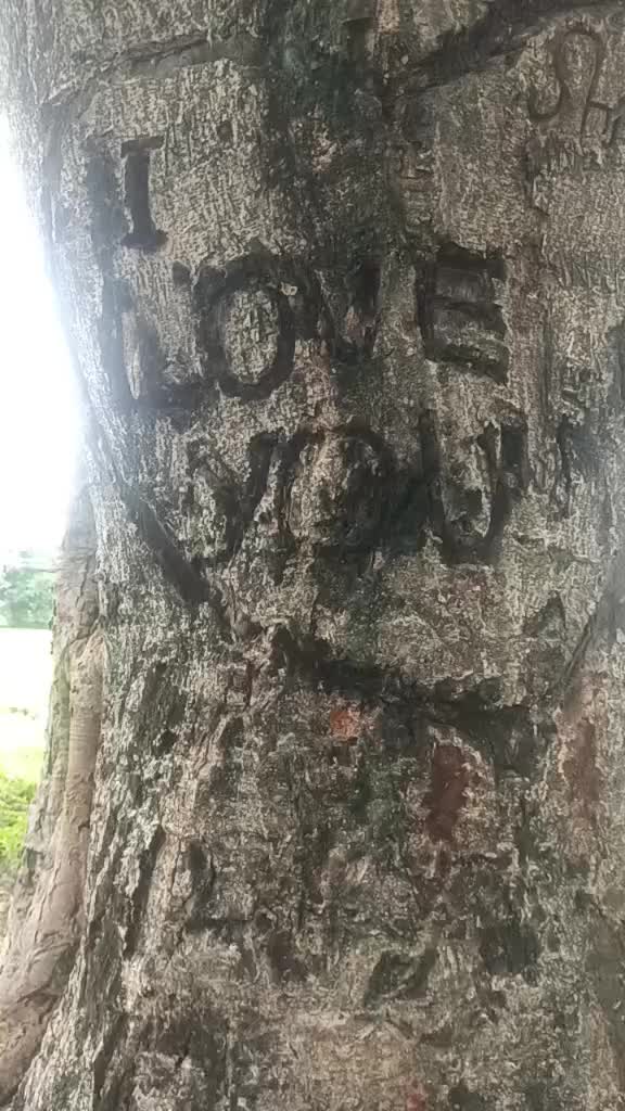 @Amit Jha