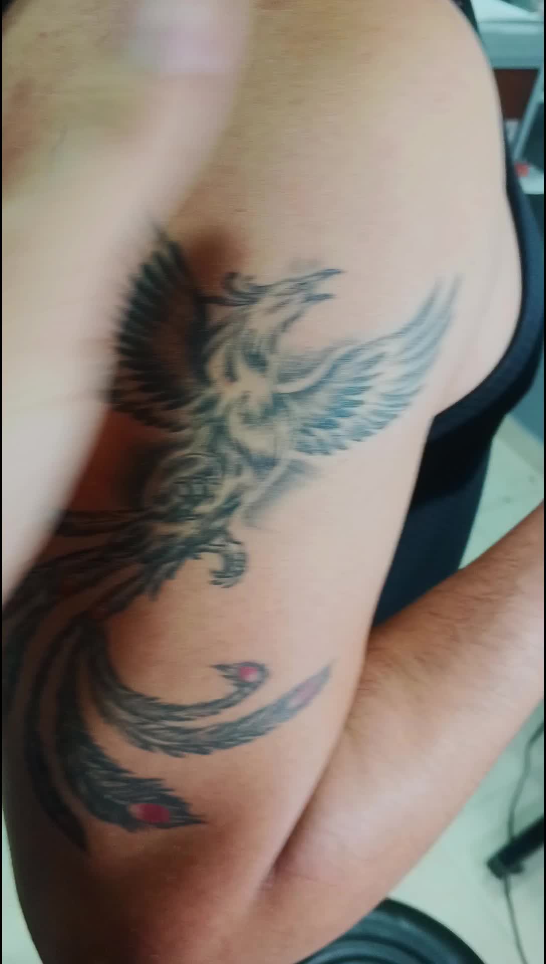 @Ruta 66.ink