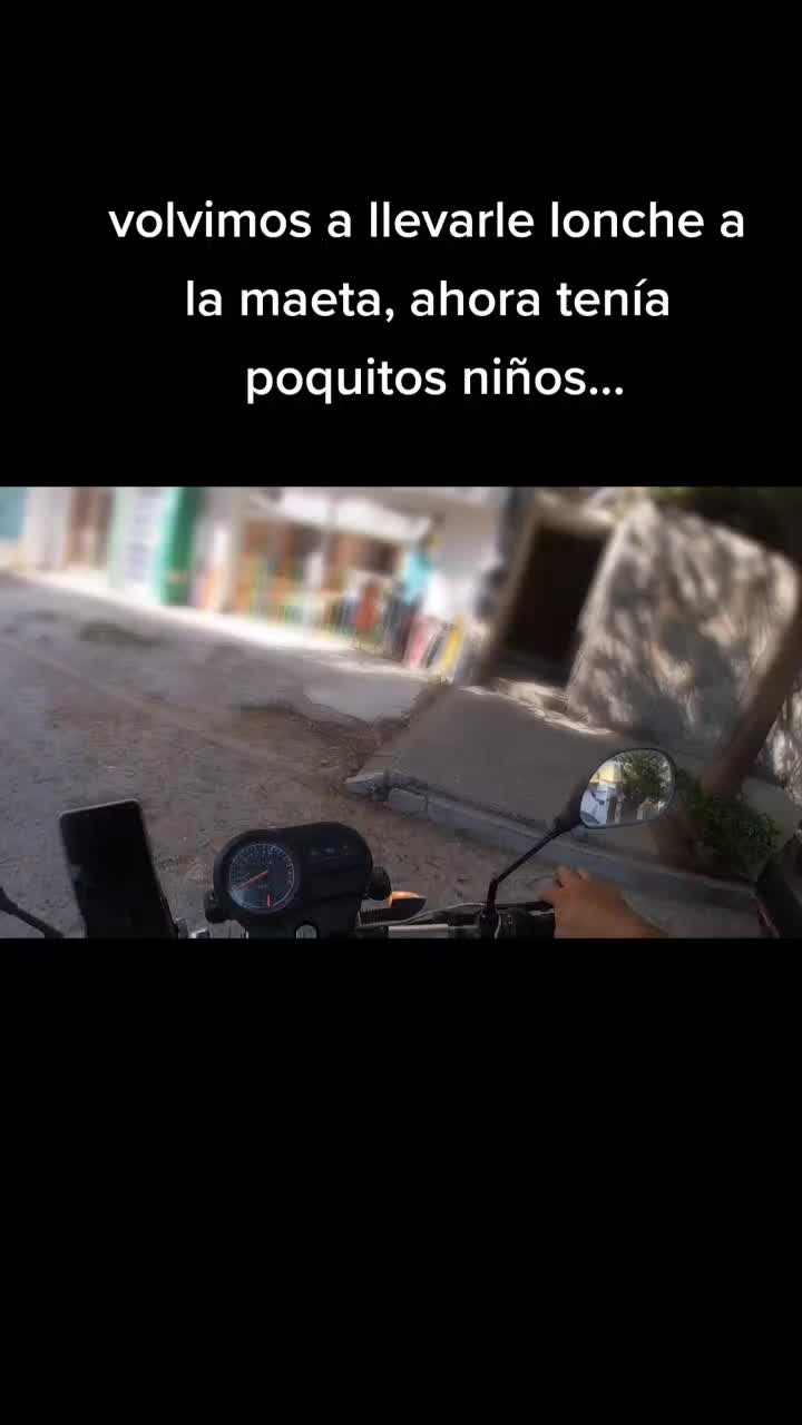 @Reptil Biker
