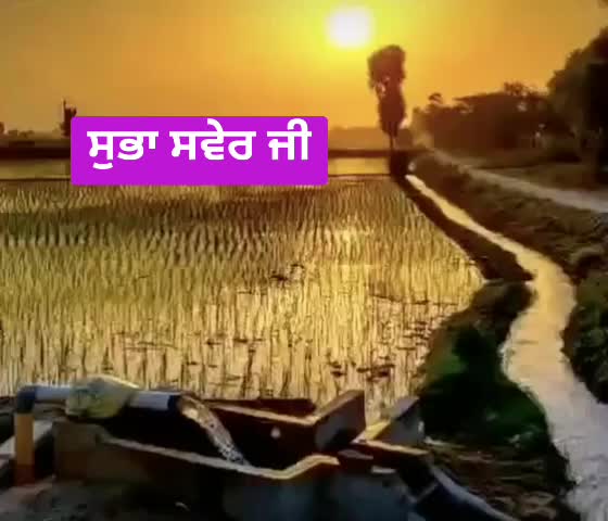 @meet manjodh