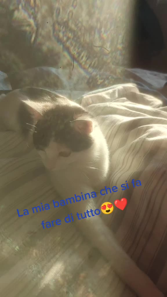 @Sara🥰