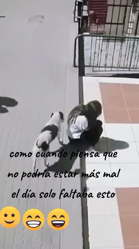 @José Luis