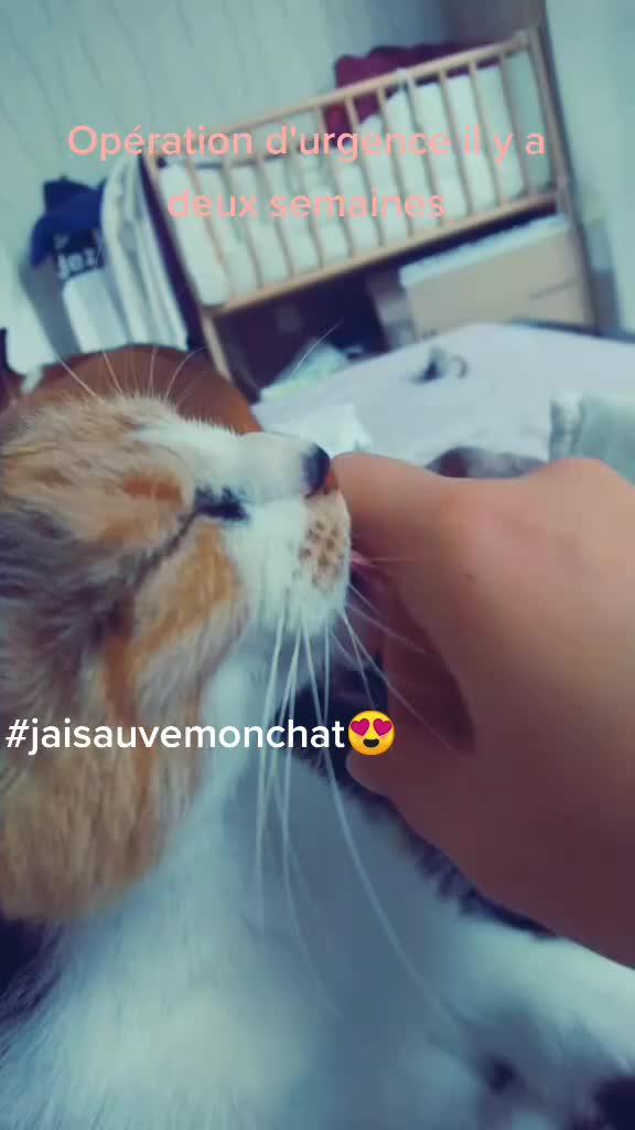 @Aurélie LMTE💜