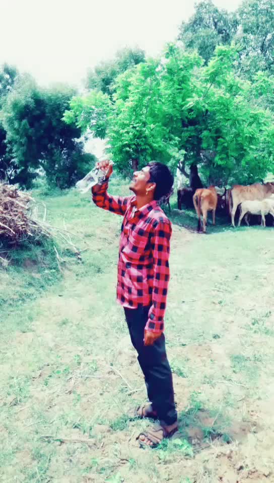 @Gelabhai J Gamara