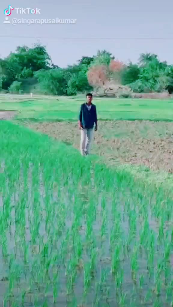 @Singarapu Saikumar