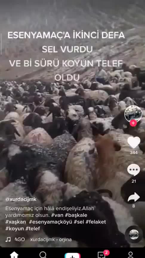 @denoo_çlk