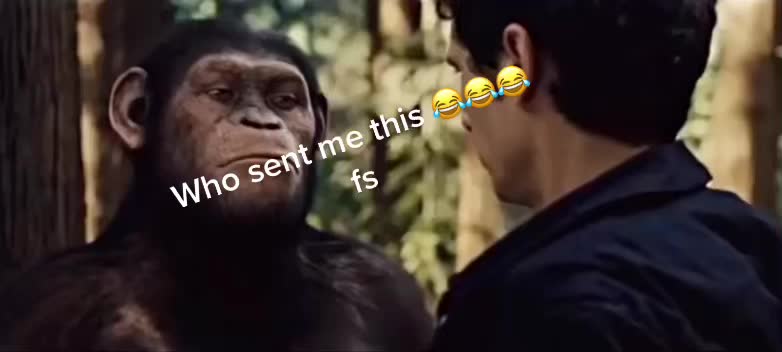 @Yasmine