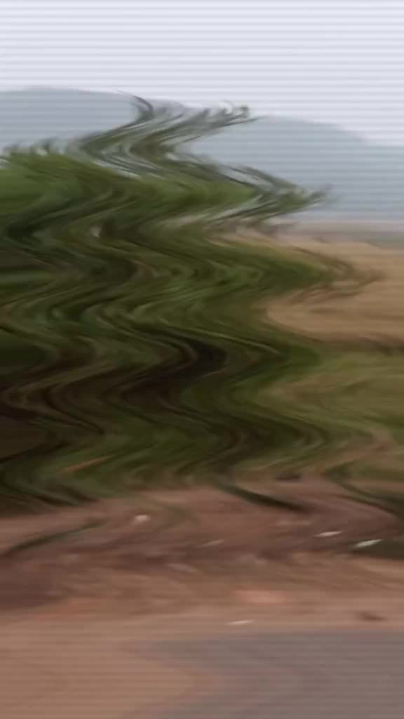 @user1913832233691