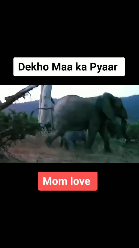 @Prakash olakiya123