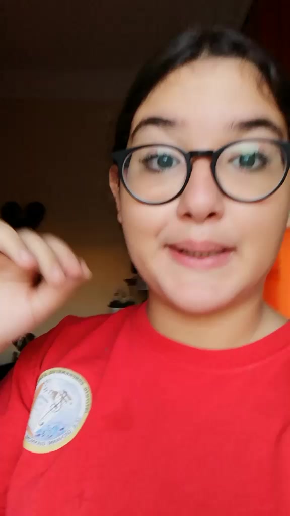 @dalilachiapperino105