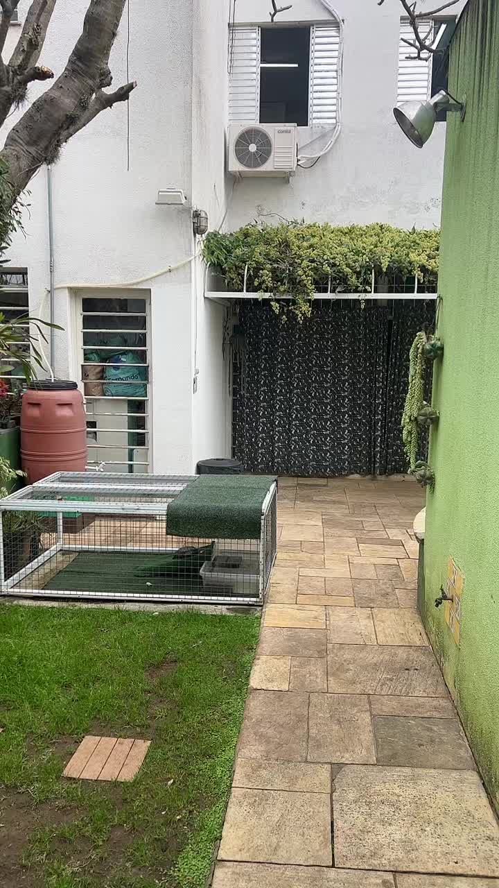 @Eubiologodiego