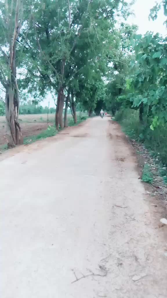 @Abhay Malik kabir