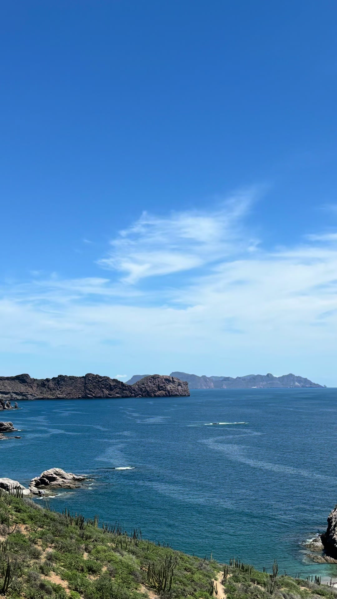 @Killer_Skillet