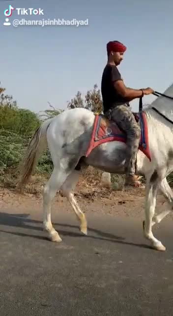 @Dhanrajsinh Bhadiyad