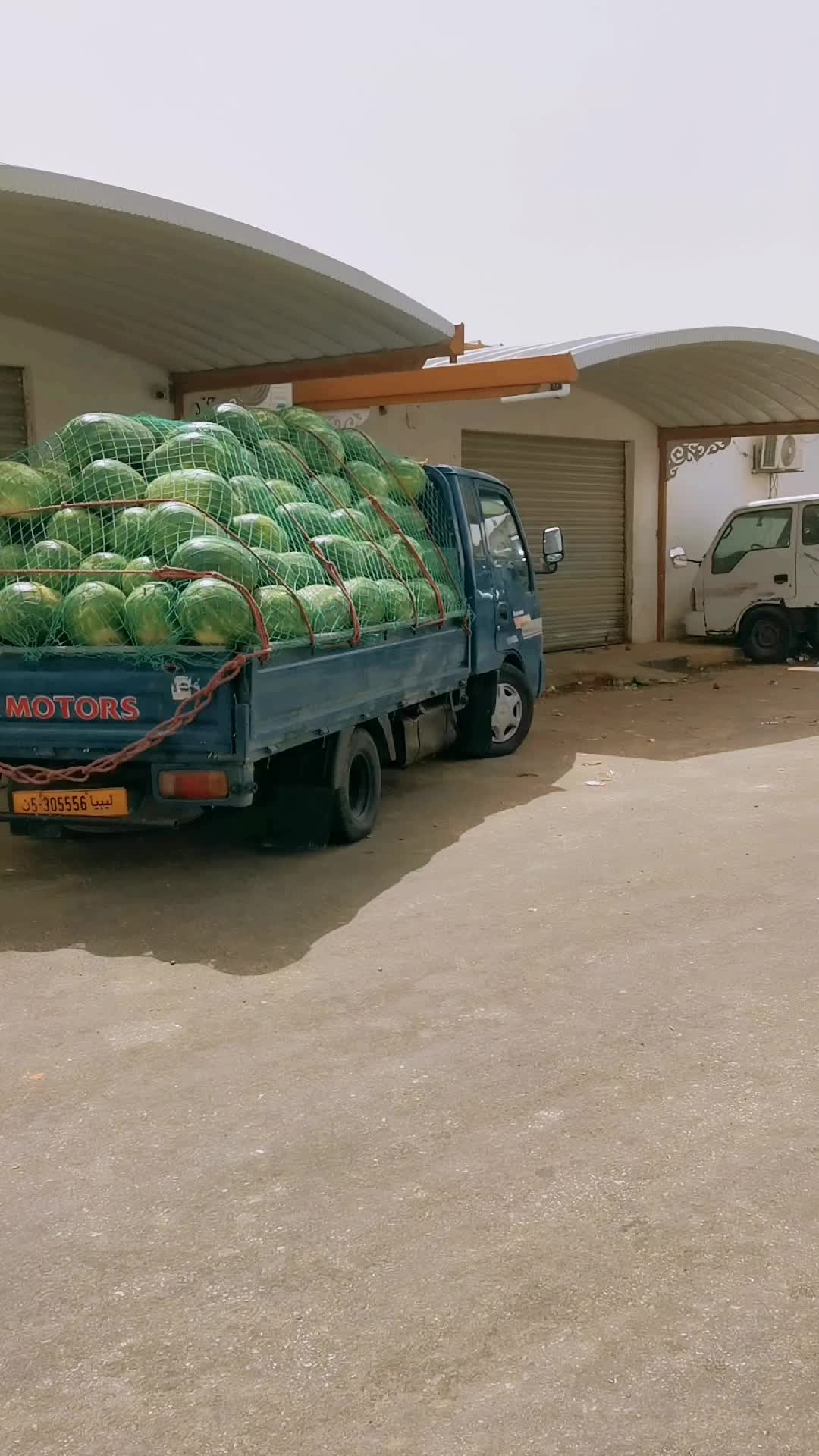@امجد الرجباني