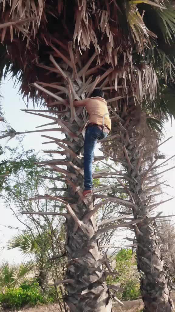 @V Ravi kumar