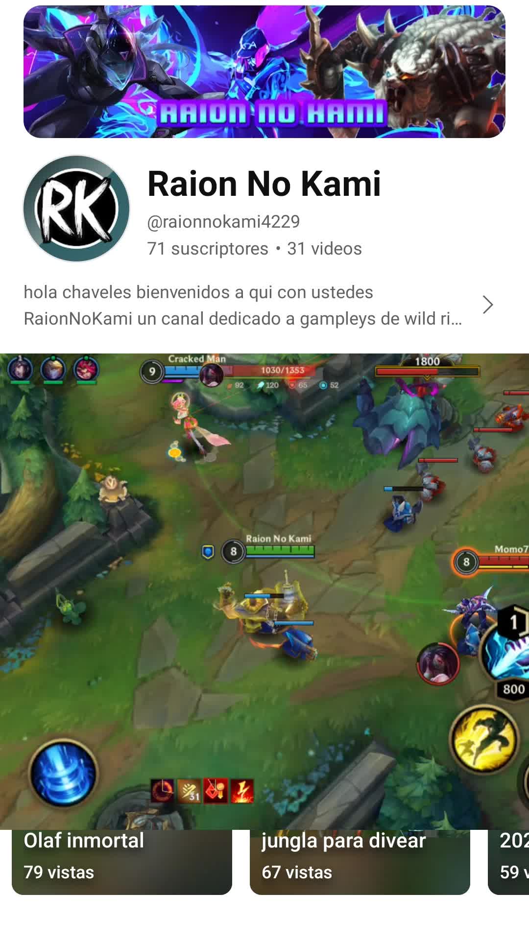 @RaionNoKami