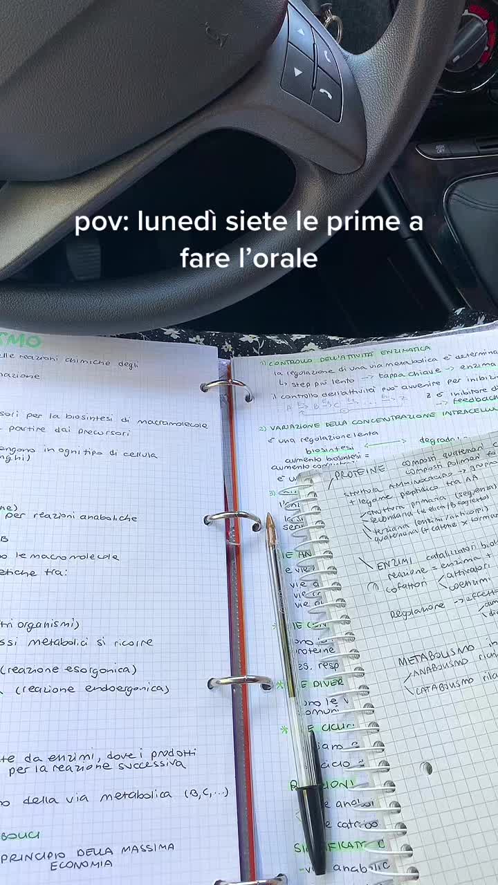 @giorgia.arizzi