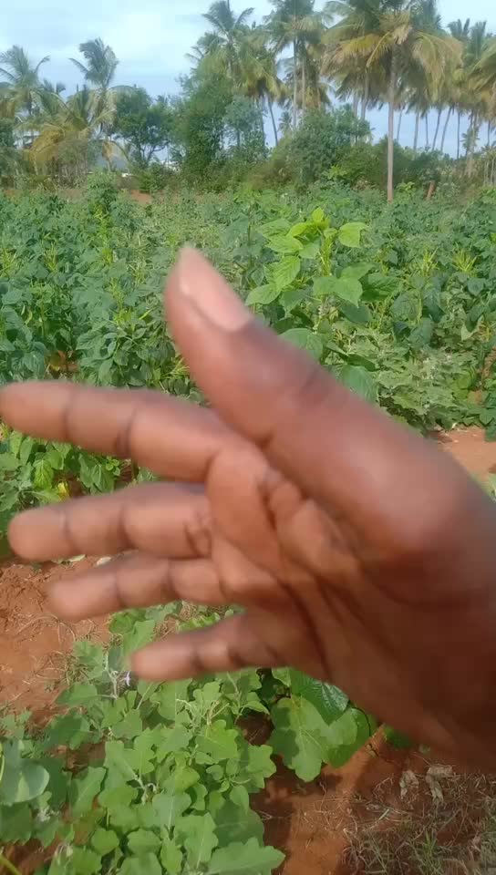 @Murugeshdhanam