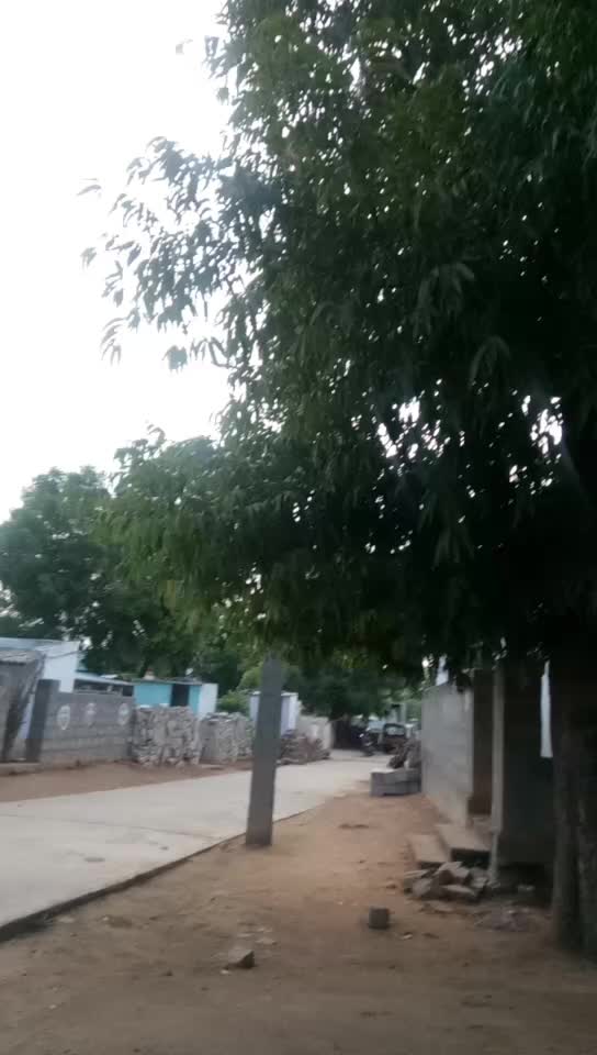@nagarjuna nani