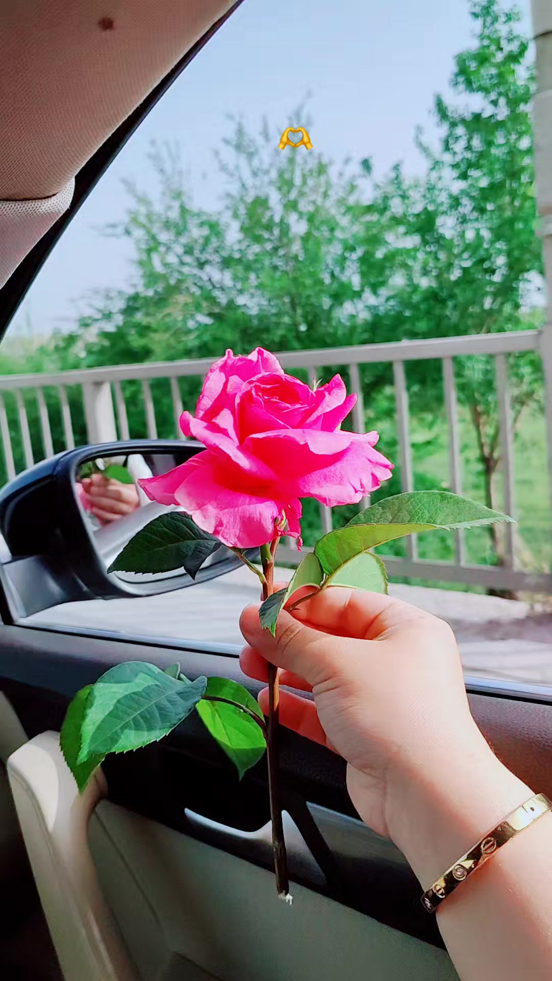 @☀️💕🌼
