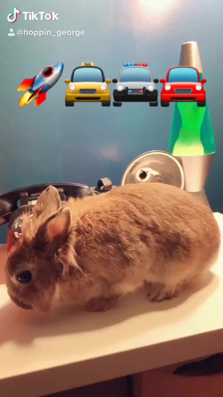 @AaronTheApollo