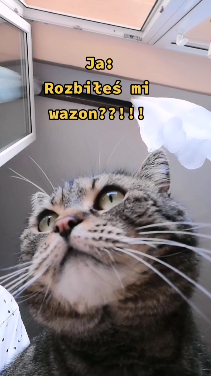 @😻Ekipa Świrka 😻