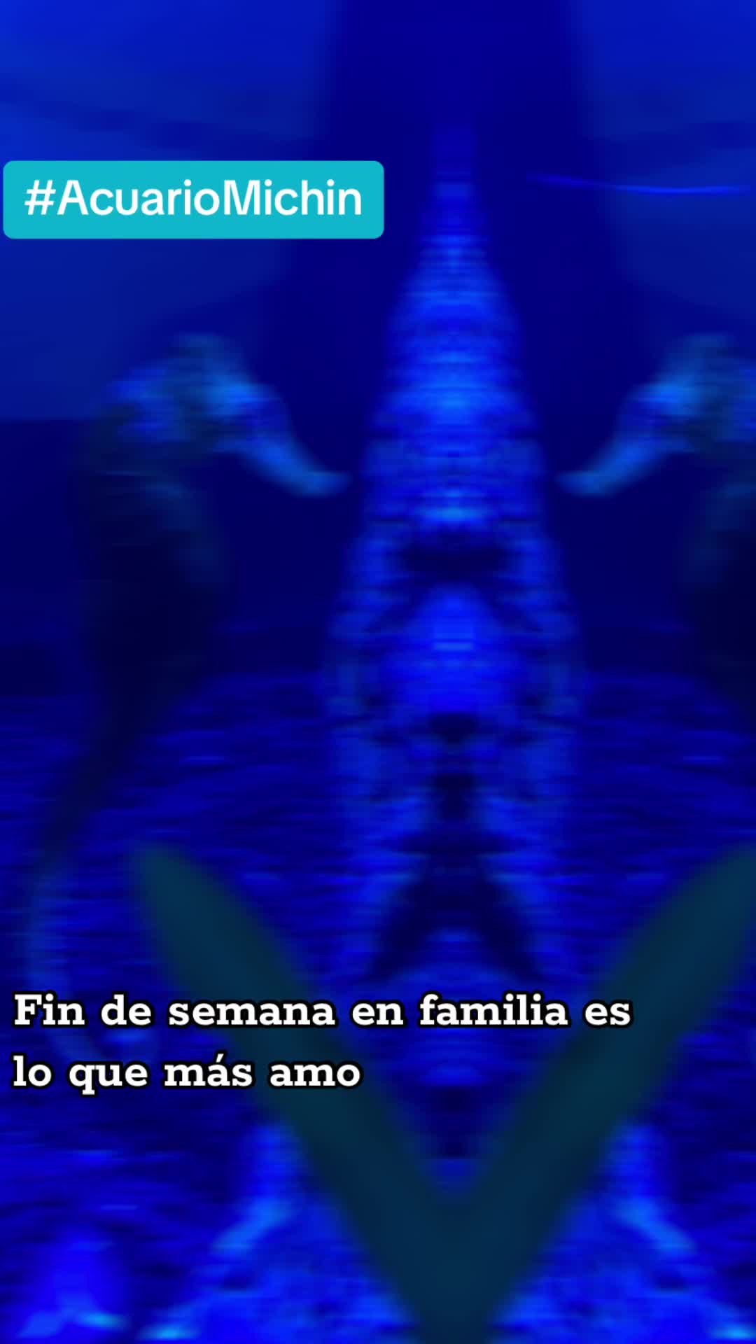 @Srta. Freud