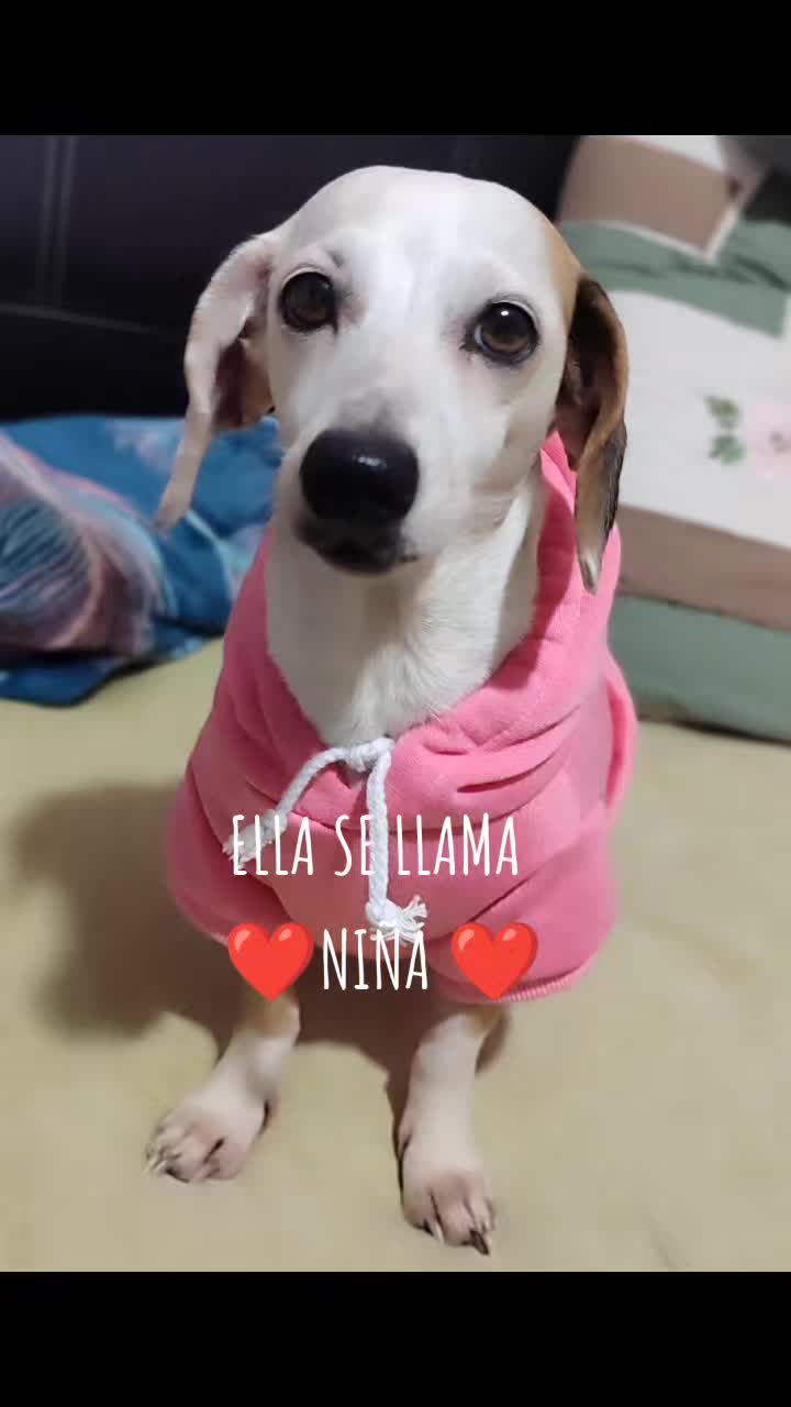 @🌷🌷Zerimar Jess🌷🌷