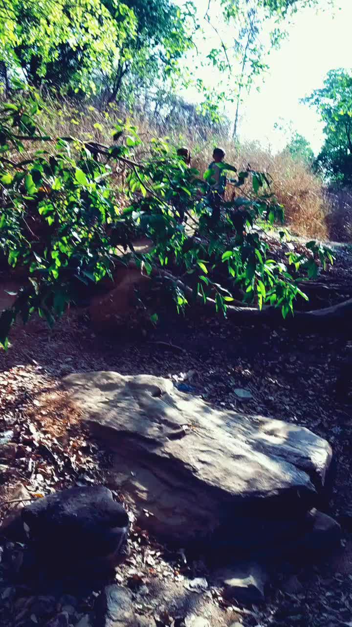 @Kiran Raj Raj
