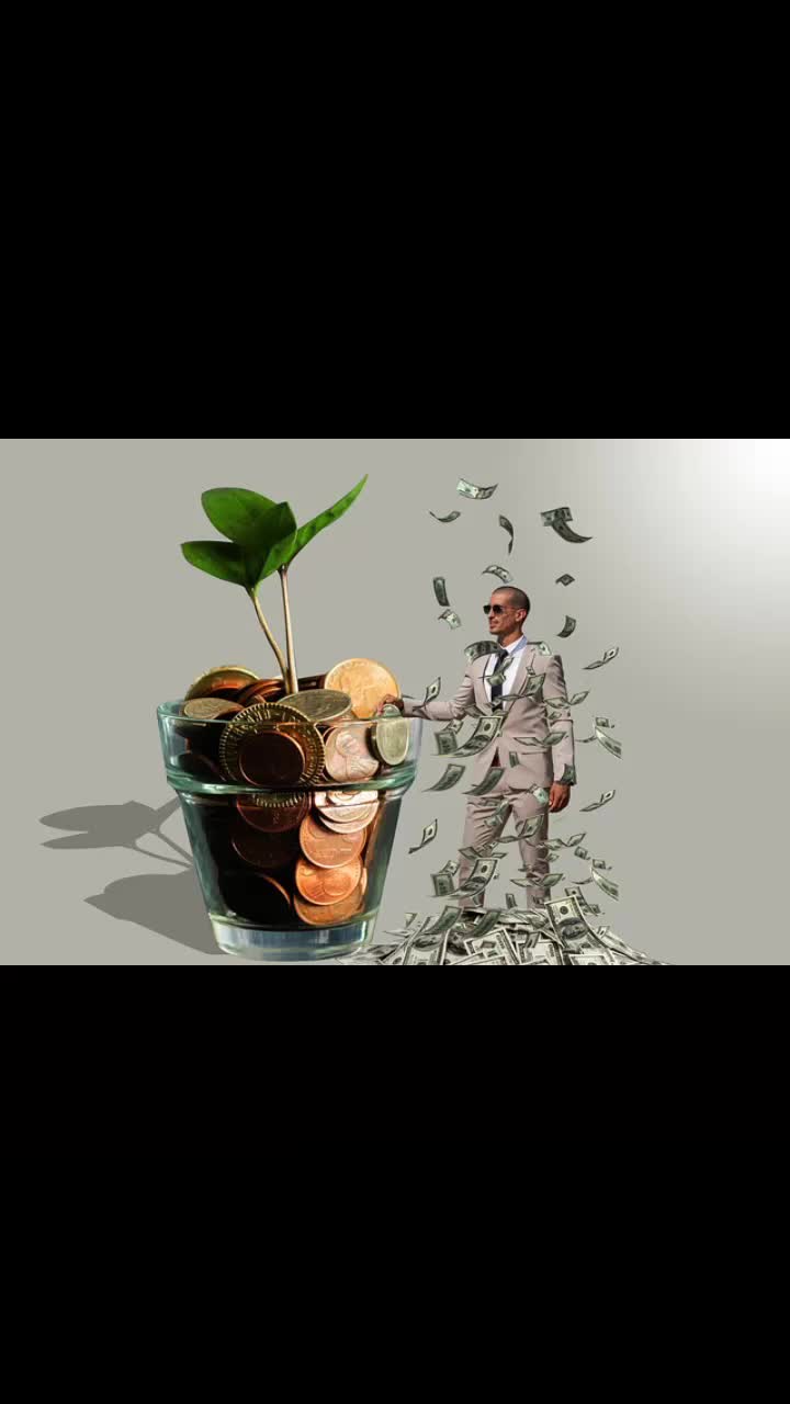 @ Sinai Earnings