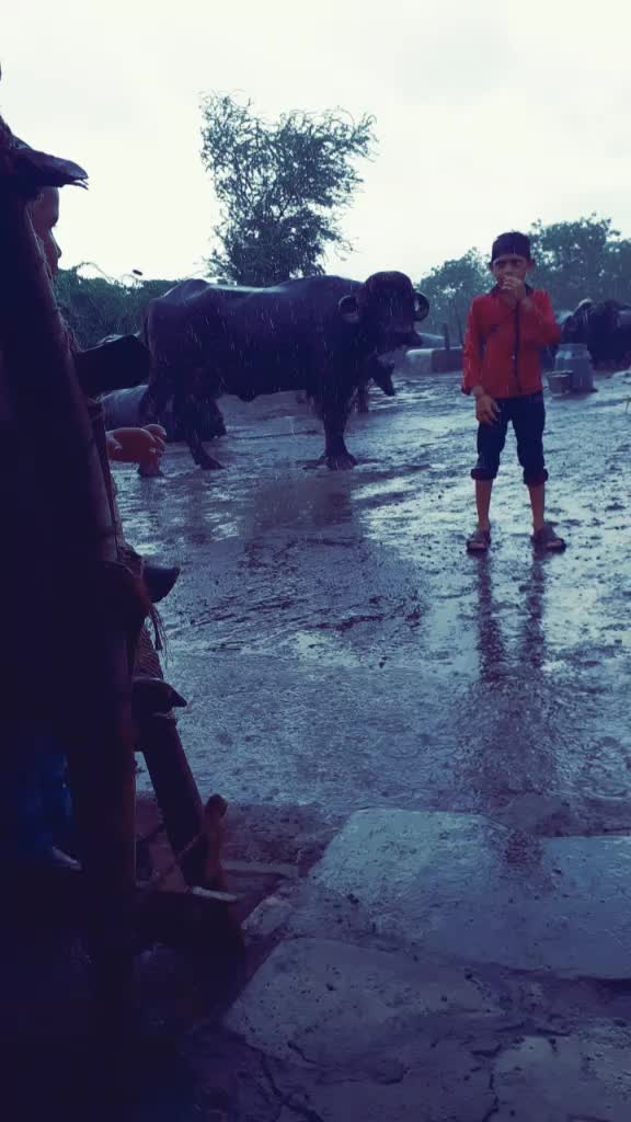 @દેપાલ ભાઇ વાલા