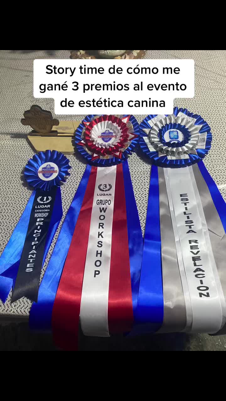 @Arale Ruiz
