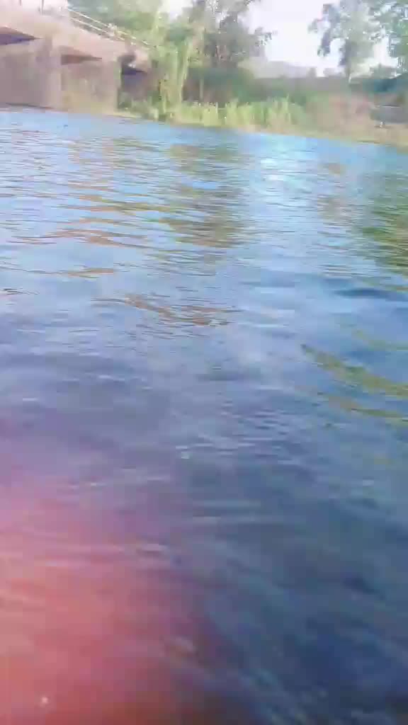 @sunnywaghmare1234