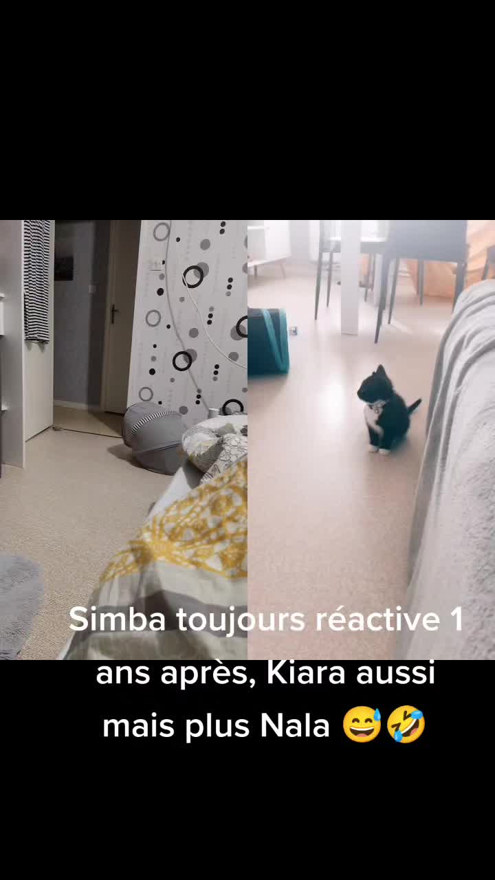 @Estelle Pruvost