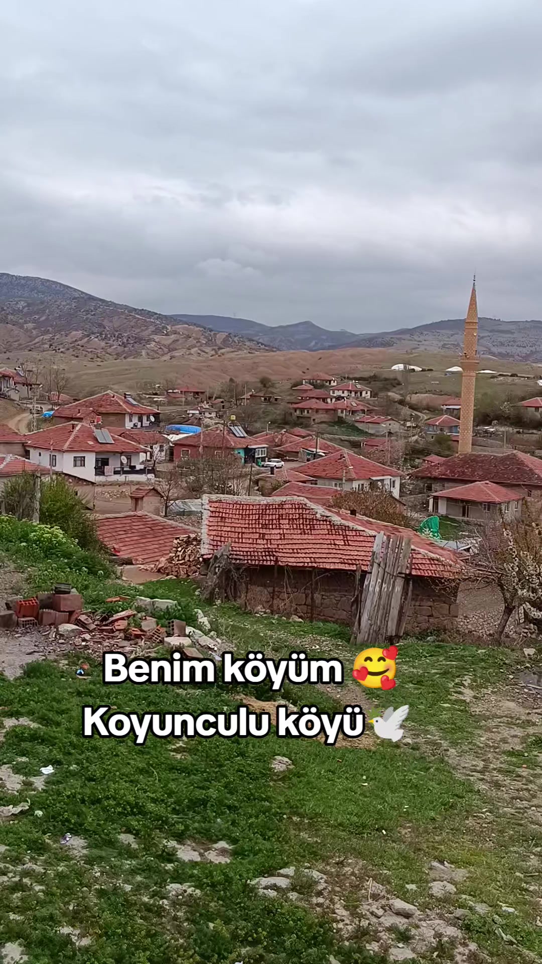 @hayat66sen