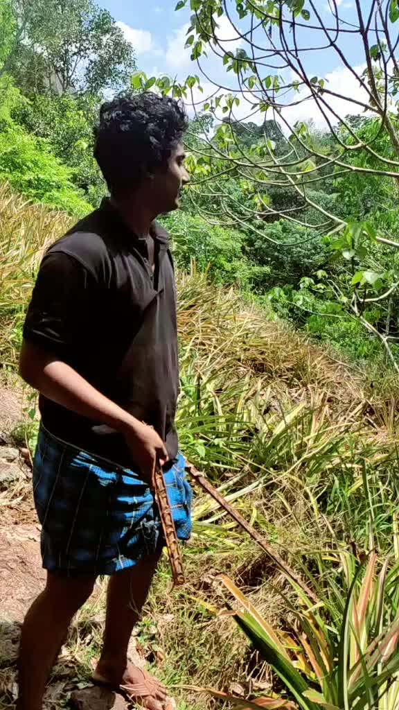 @Vipin Tintu Kalayil