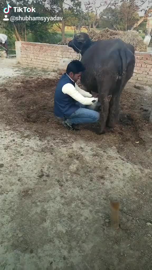 @Shubham Yadav
