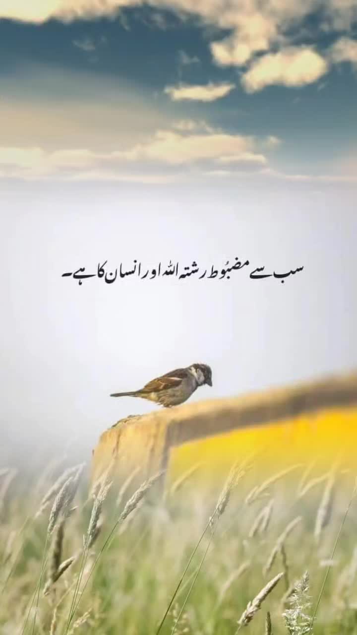 @Ch_ AwàîŠ..!!