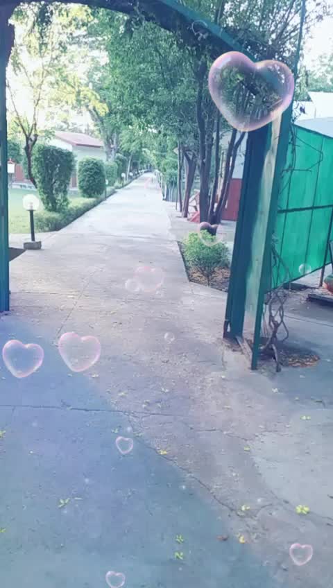 @poojamehras