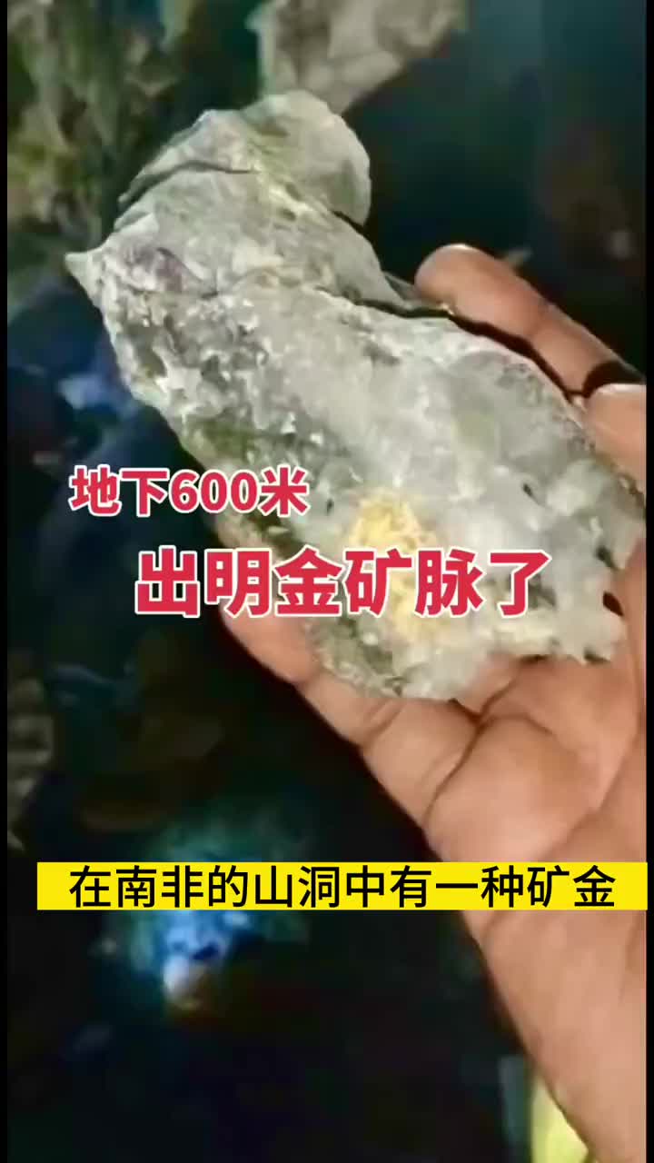 @正品錫金